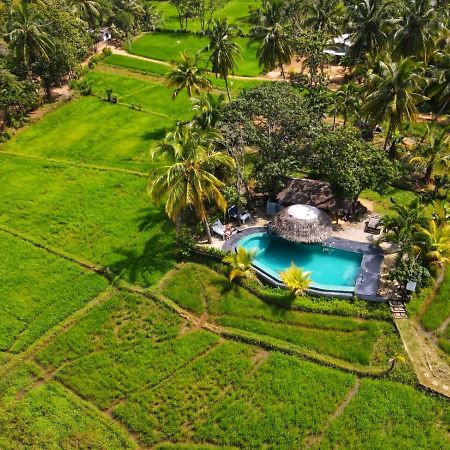 Nelu Villa Sigiriya Exterior foto